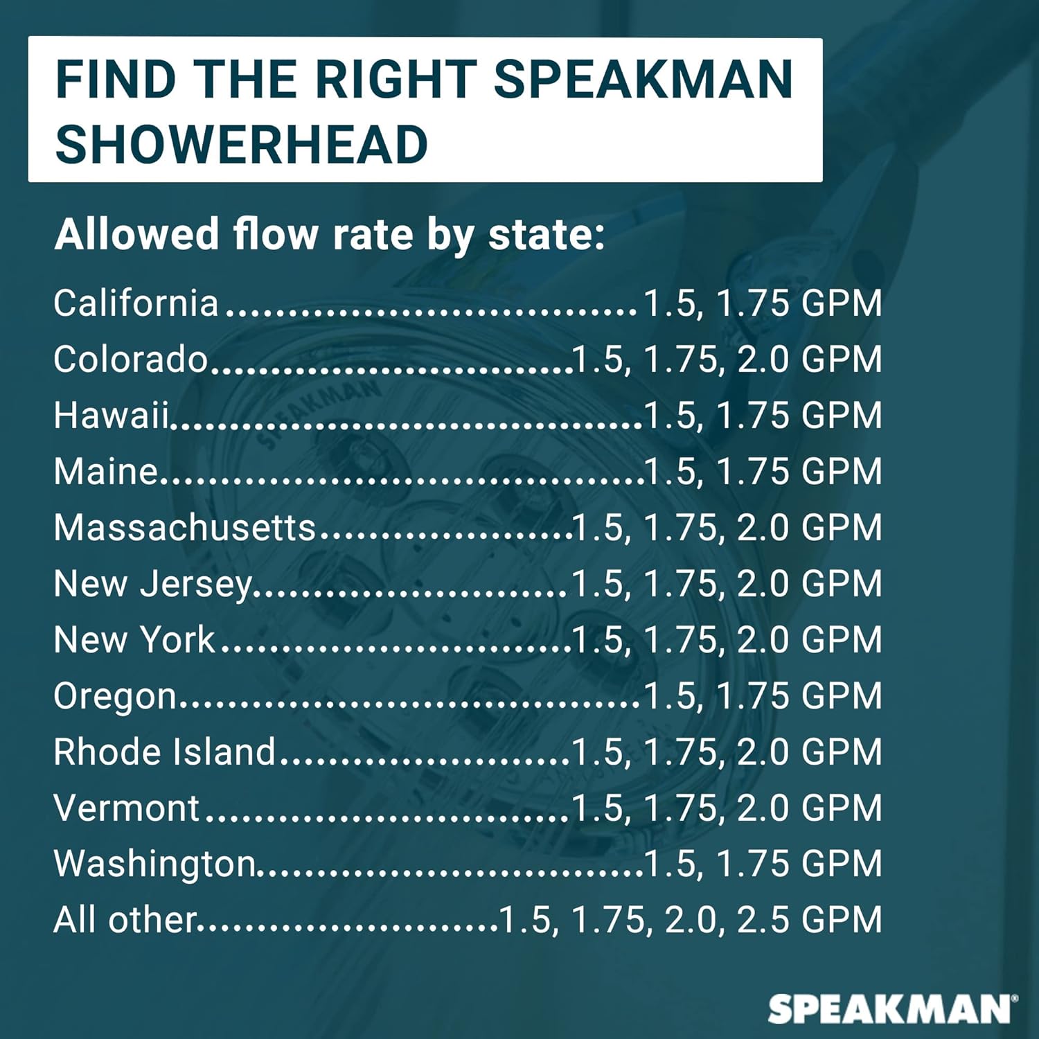 The Speakman Anystream System: Why Hotel Plumbers and Hydrotherapy Fans Both Swear By It